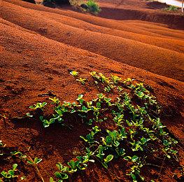 《女神异闻录３ Reload》迎来完结篇！“扩展通行证”发布确定！